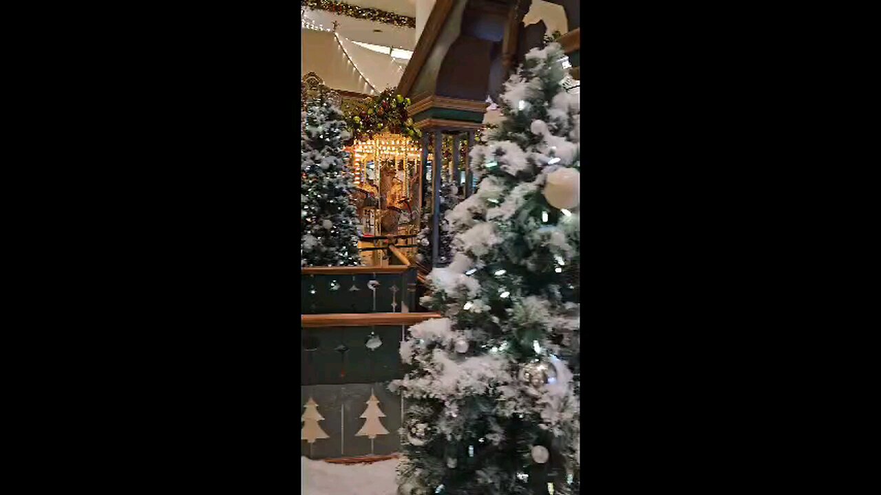 Christmas is in the air!