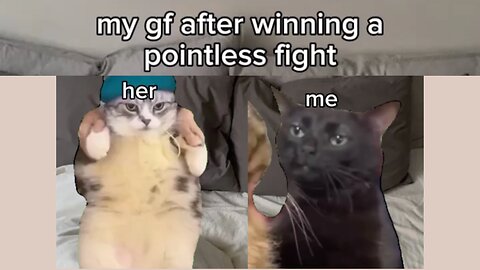 Cat meme part:02🙈