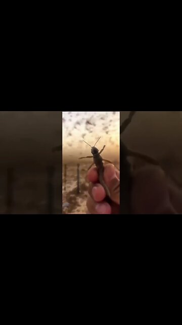 The END TIMES are upon us 🙏