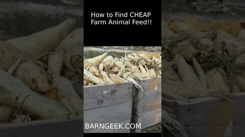 How to Find CHEAP Farm Animal Feed Short