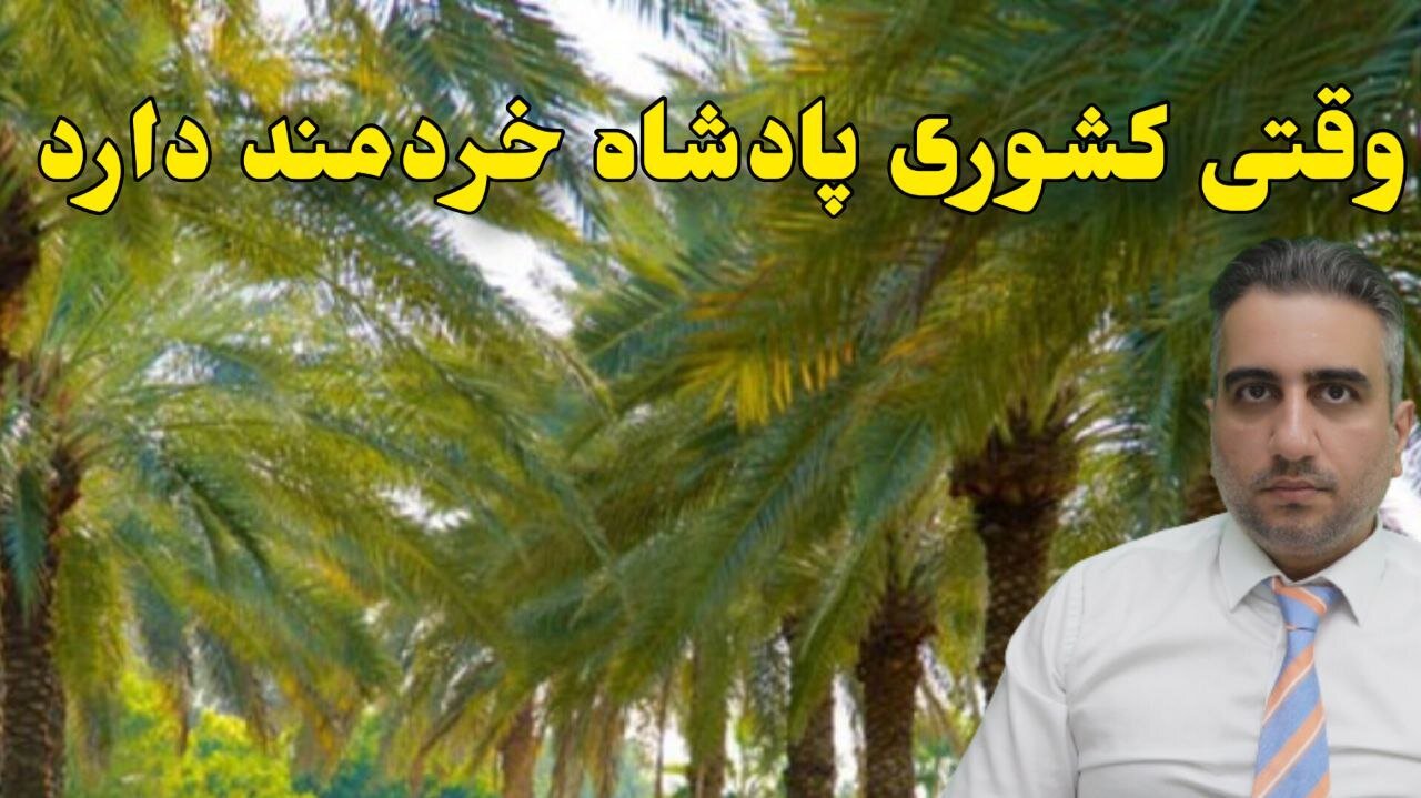 وقتی کشوری پادشاه خردمند دارد