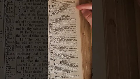 Tiny Capsule of Wisdom