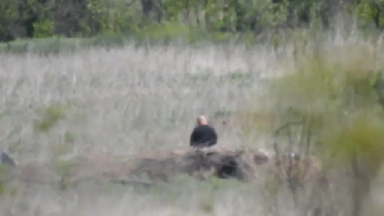 Russian Sniper In The Zone Of Special Military Operation Destroying Ukrainian Militants Pt.2