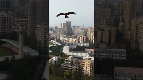 Mumbai India