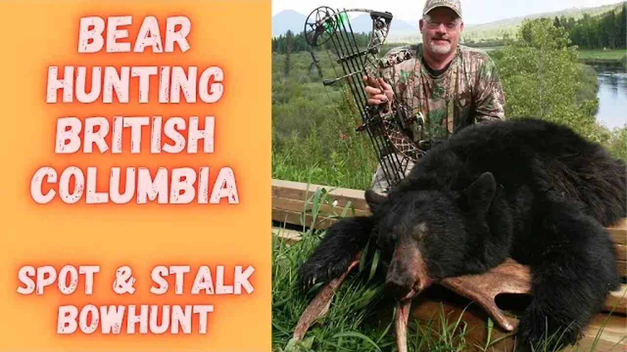 British Columbia Bear Hunting | 43 bears! Archery Spot & Stalk