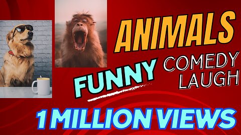 Funny Animals Making you laugh