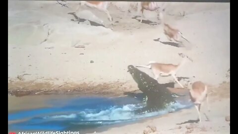 nature is savage!!