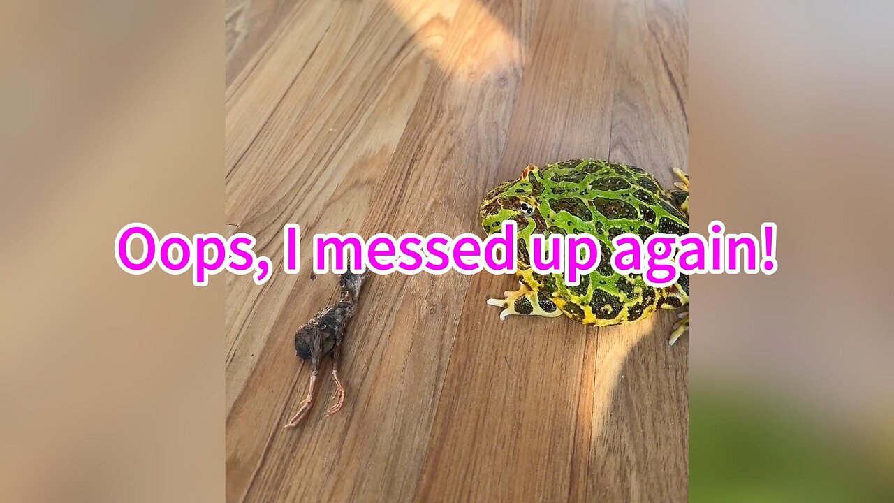 Oops, I messed up again! | Funny Frog