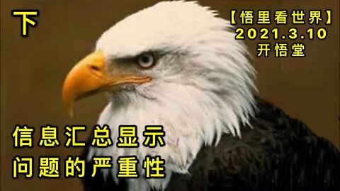 KWT1296(下)信息汇总显示问题的严重性20210310-5【悟里看世界】