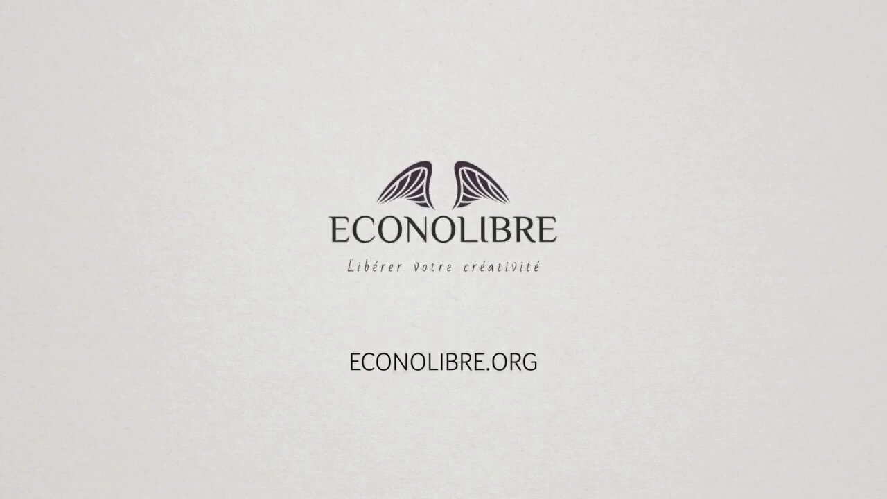 Econolibre, lancement du site