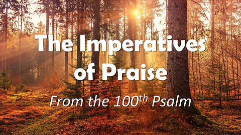 The Imperatives of Praise 2, Pastor David Hansen, 11-14-2023