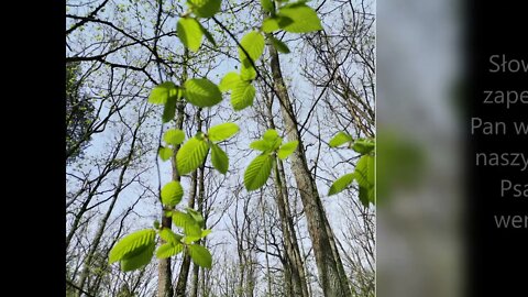 Słowo Boże zapewnia ,że Pan wysłuchuje naszych próśb Psalm 34, werset 5-7