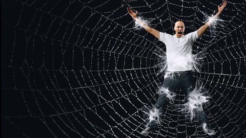 What If You Got Caught in a Giant Spider Web?