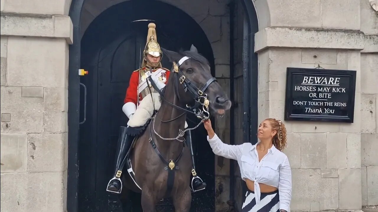 One grab and a second attempted grab DONT HOLD THE REINS #horseguardsparade