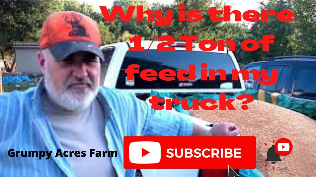 Homestead frugality: buying feed in bulk...