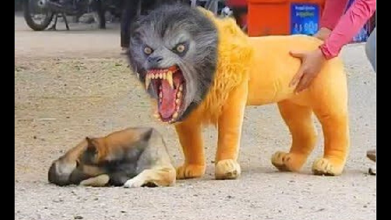 Troll Prank Dog Funny with fake Lion