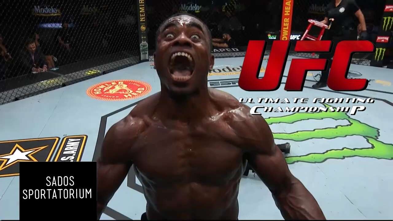UFC BEST KNOCK OUTS AND FINISHES