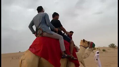 Camel Ride went wrong in Dubai!! ☠️💀