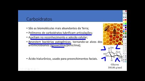 AULA 6 BIOQUÍMICA UBM 2