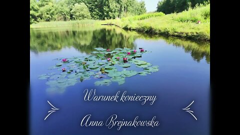 Warunek konieczny -Anna Brejnakowska