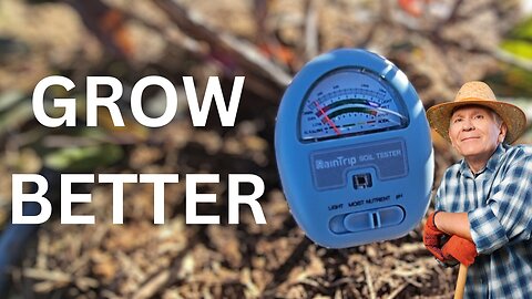 Using a 4-in-1 Soil Moisture Meter
