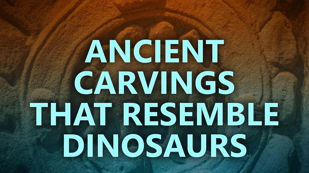 Ancient carvings that resemble dinosaurs