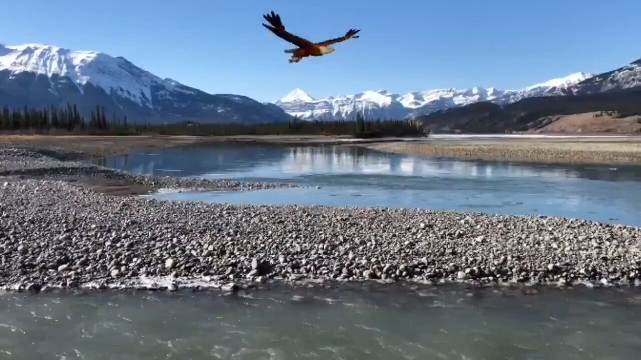 Eagles view of Jasper National Park.
