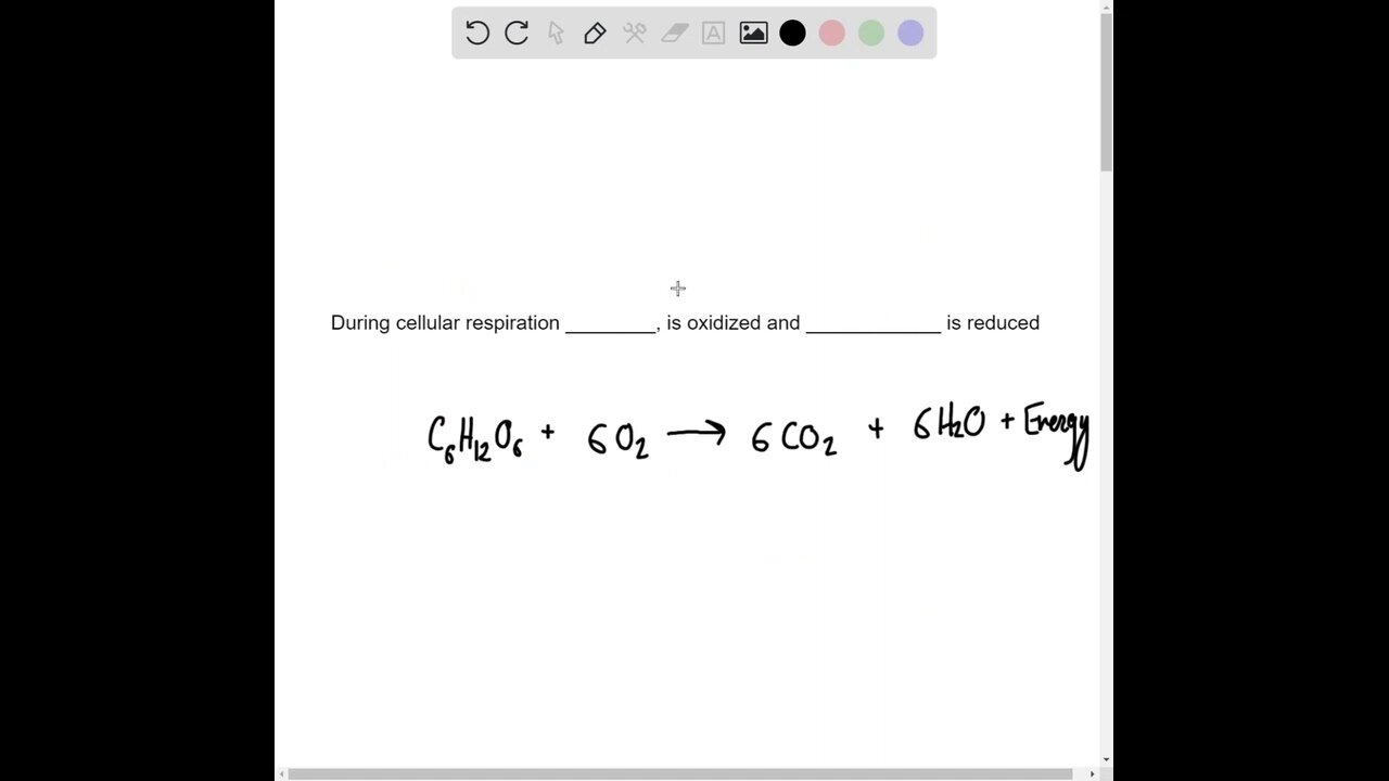 Choose the best answer for each question. During cellular respiration ________, is oxidized and ___