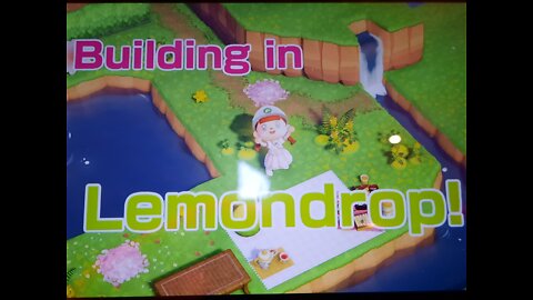 Let's build on Lemondrop!- Animal Crossing New Horizons #3