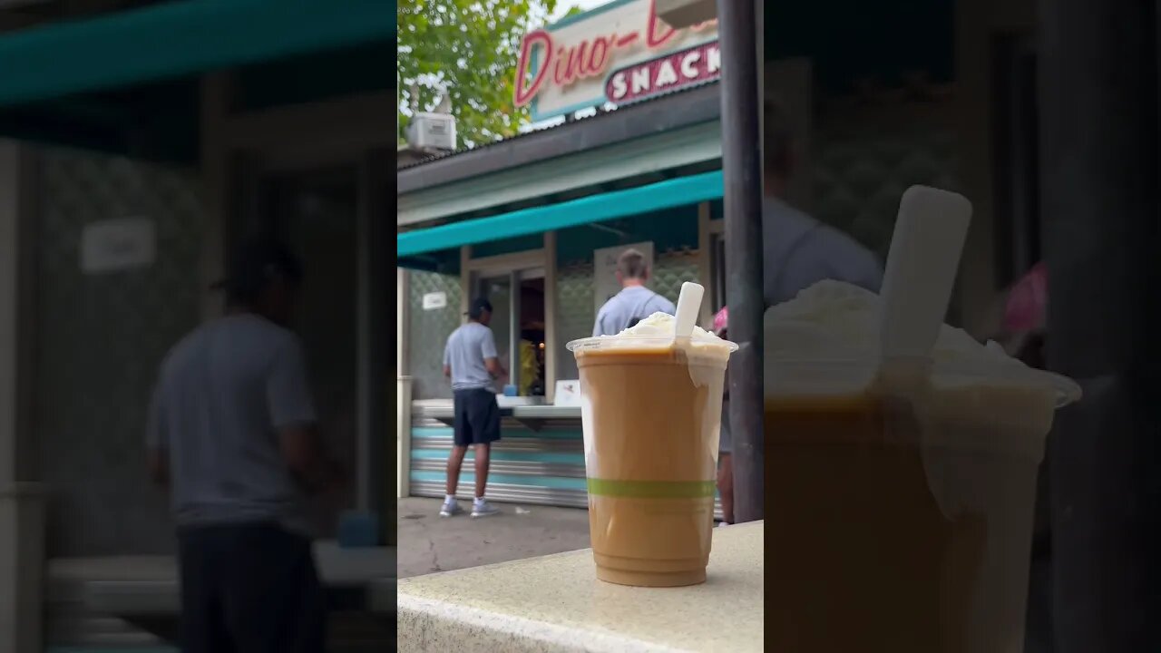 Cold Brew Ice Cream Float 🍦☕️ #animalkingdom #disneyworld #disneysnacks #shorts #coldbrew #coffee