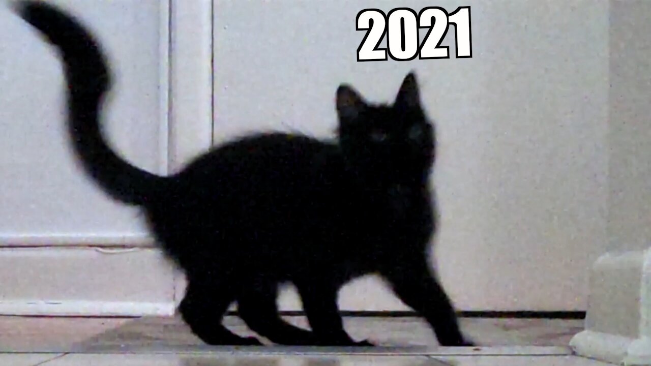 2021 be like...