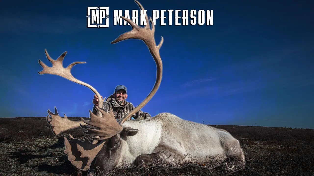 Quebec Labrador Caribou: The Last Season | Mark Peterson Hunting