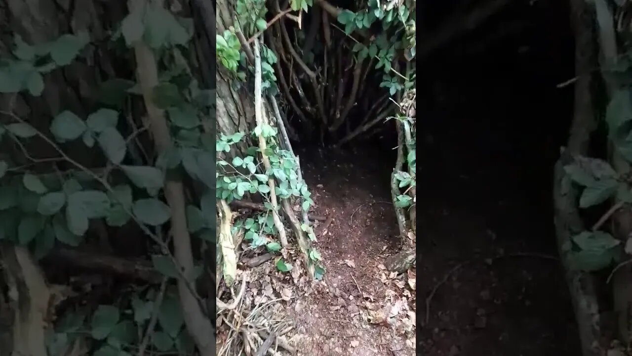 shelter