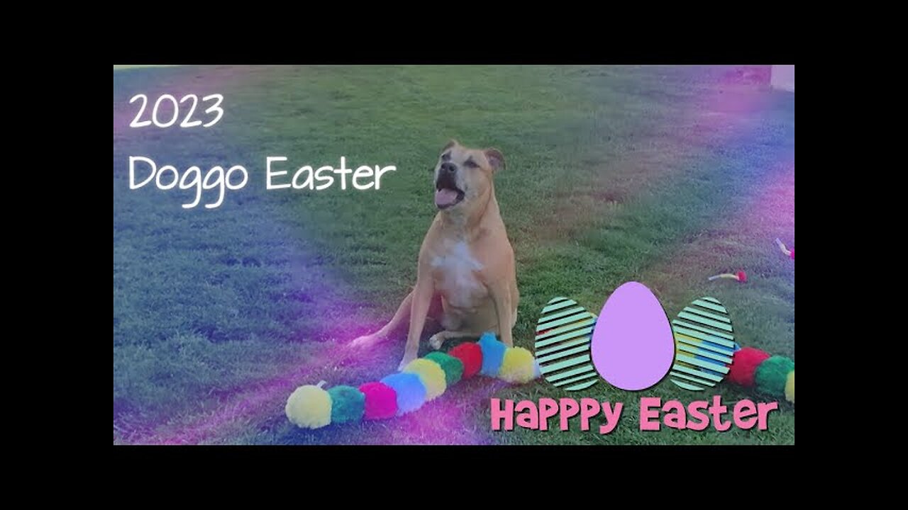 2023 Doggo Easter