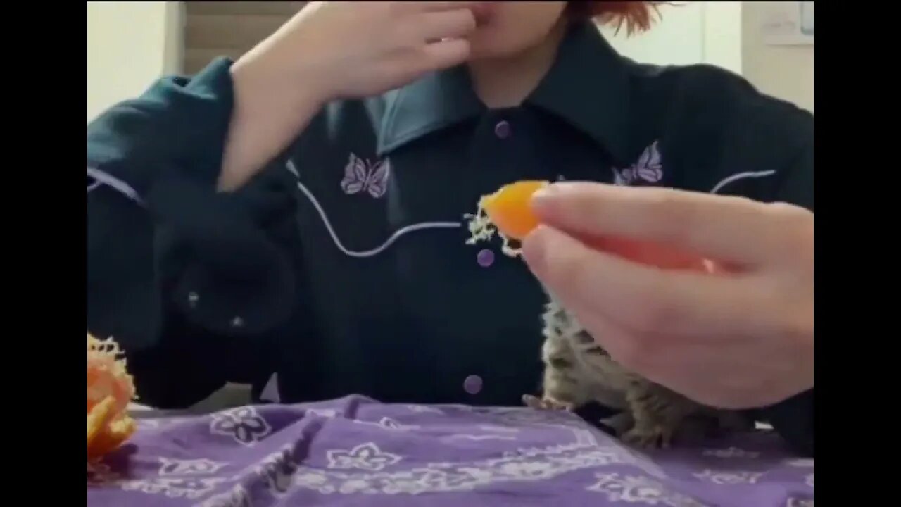 Time for some fresh fruit..🍊🐵😍