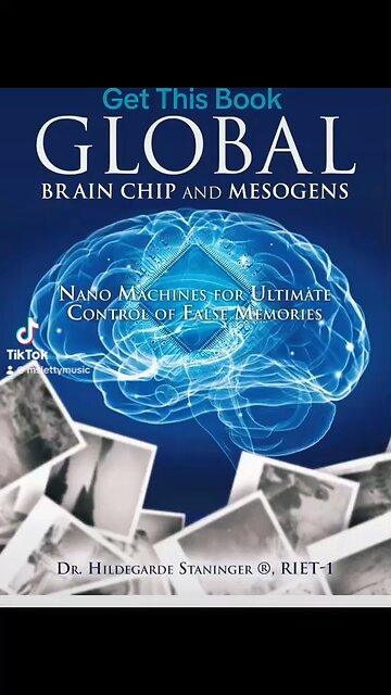 The Shadow Govt Plan to Enslave