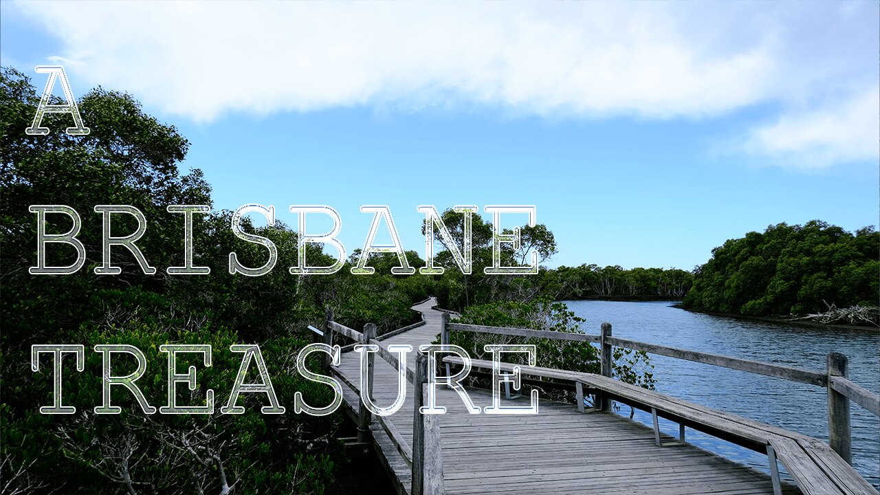 The Beauty of Nudgee Beach Reserve ('Hidden' Brisbane Treasure)