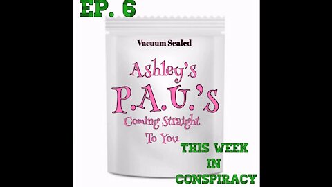 Episode 6. P.A.U.’S