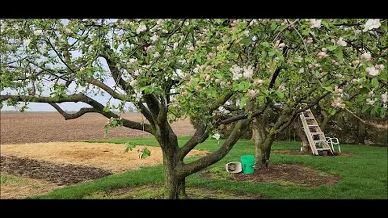 Bloom today, Frost tomorrow??