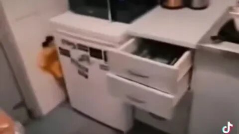 Something is in there.