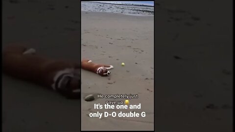 MEME is the one and only D-O double G #shorts