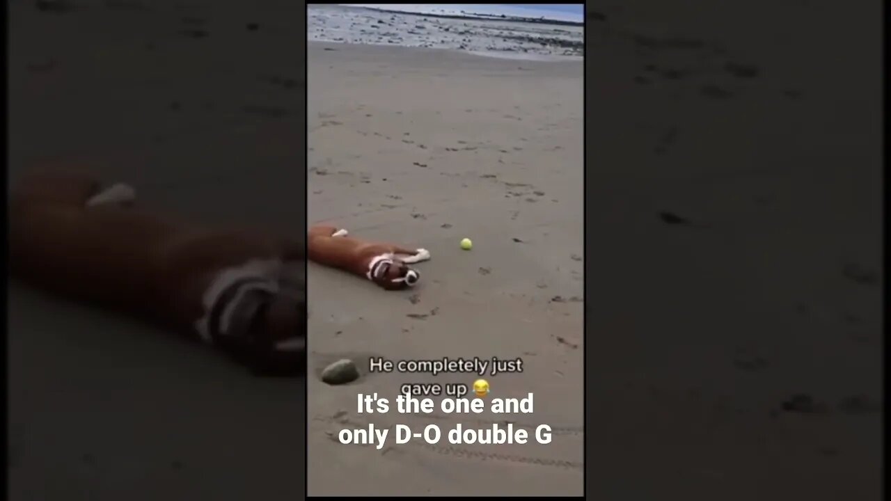 MEME is the one and only D-O double G #shorts