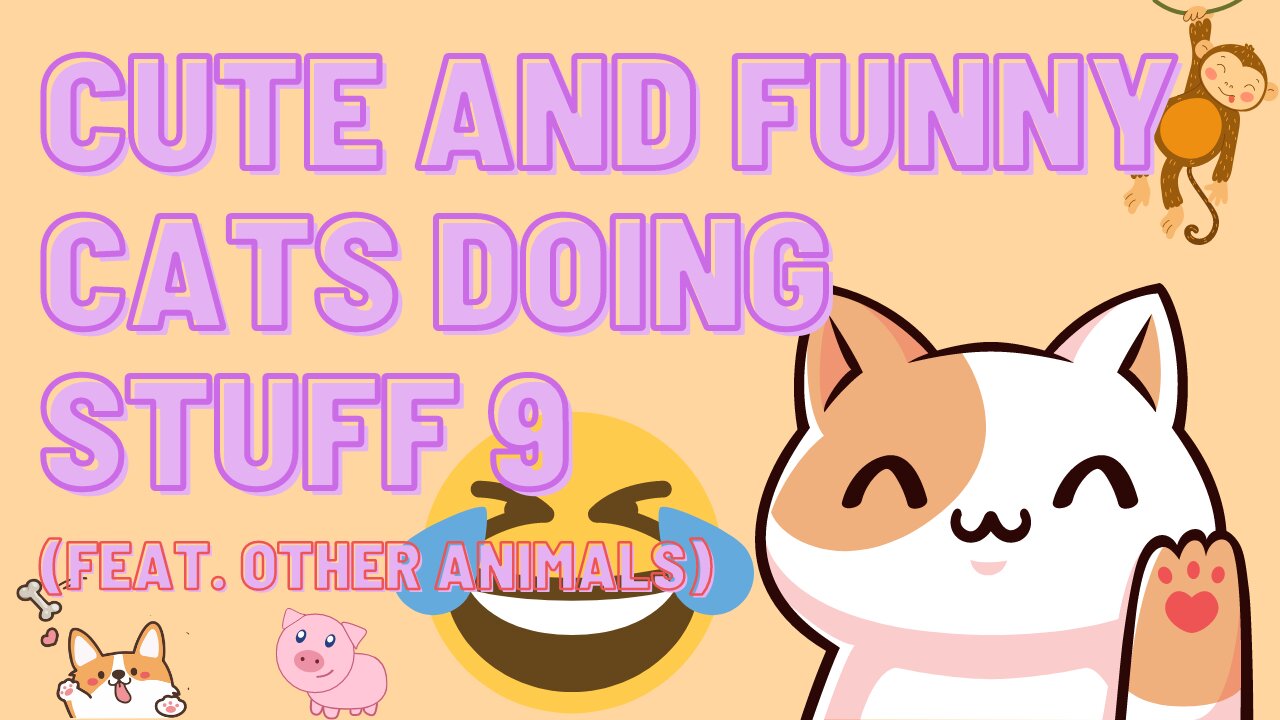 Cute and Funny Cats Doing Stuff 9 (Feat. Other Animals)