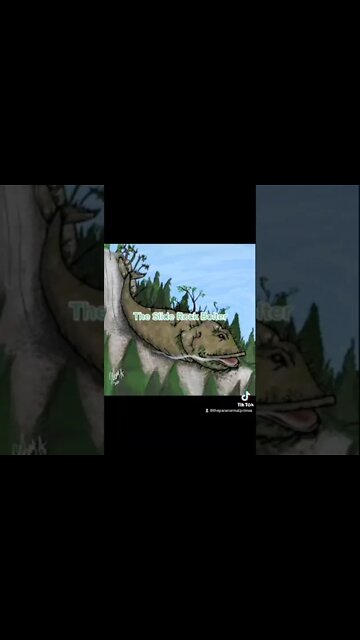 The Slide Rock Bolter