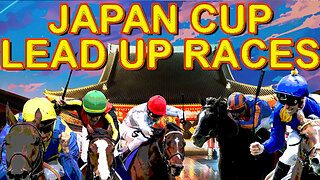 2024 JAPAN CUP LEAD-UP RACES | STAYING THE DISTANCE