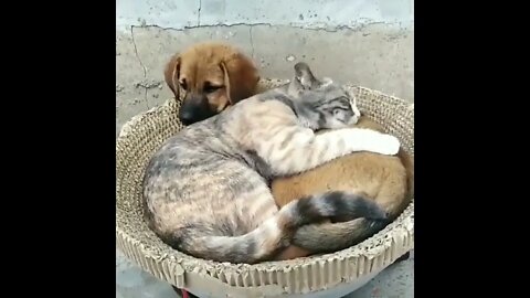 - i love this video 🥰