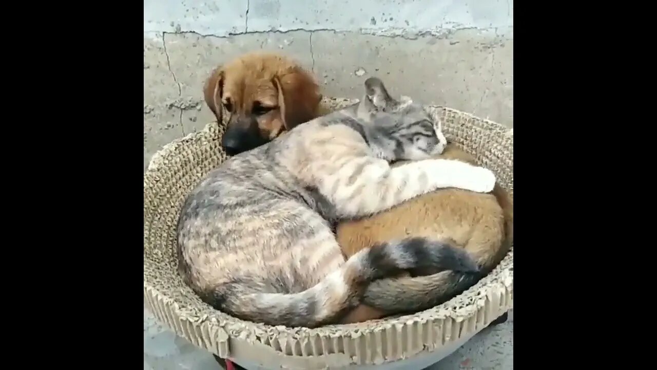 - i love this video 🥰