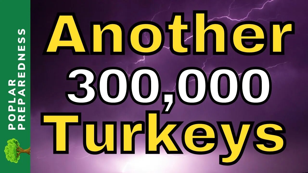 What About Thanksgiving?! | Price & Availability Estimates