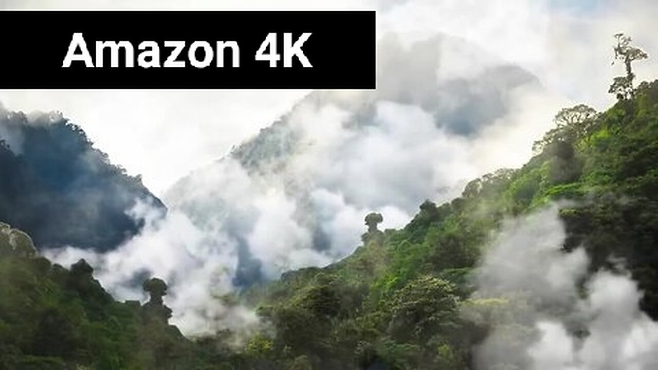 Amazon 4k - The World's Largest Tropical Rainforest | Jungle Sounds | Scenic Relaxation Film