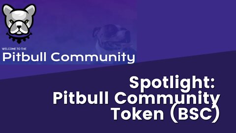 Leicester On The Pitbull Token (BSC)